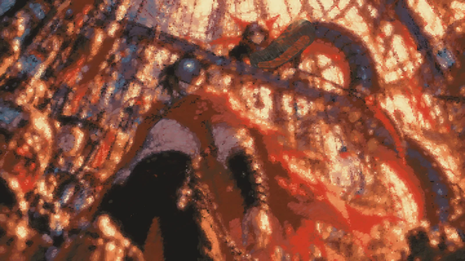 Layer two: a low-angle BloodTailor in a cathedral of chains, Jefrie's tail arcing over him
