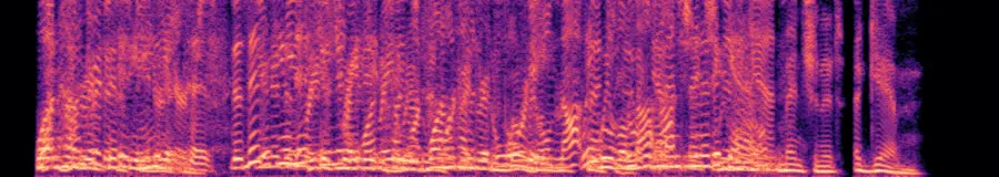 Spectrogram of five different voices, unaligned