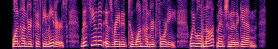 Spectrogram of everyday roll two
