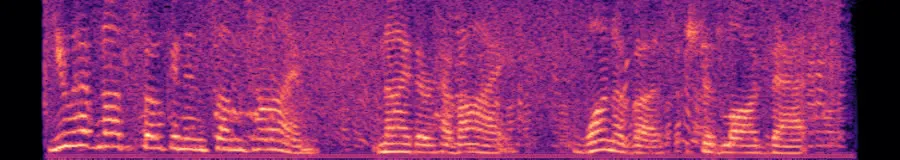 Spectrogram of the full REMORA mix with channel hiss
