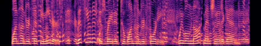 Spectrogram of the granular halo