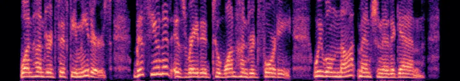 Spectrogram of the whisper double