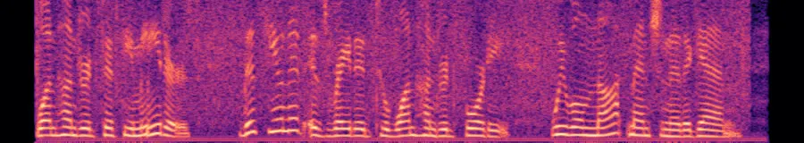 Spectrogram of the REMORA channel mix