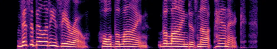 Spectrogram of the dry take