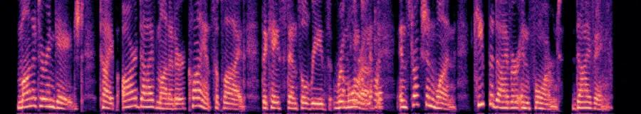Spectrogram of REMORA v1 everyday on the hello line
