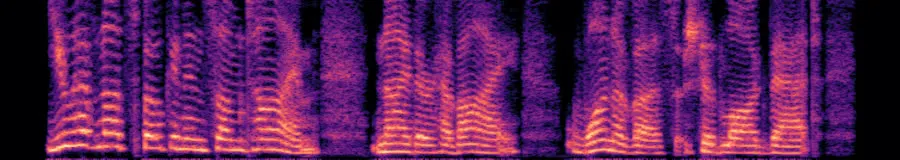 Spectrogram of REMORA v1 everyday, roll one