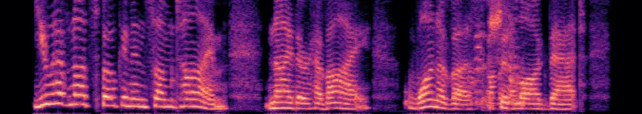 Spectrogram of REMORA v1 everyday, roll two