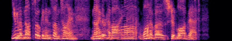 Spectrogram of REMORA v1 special